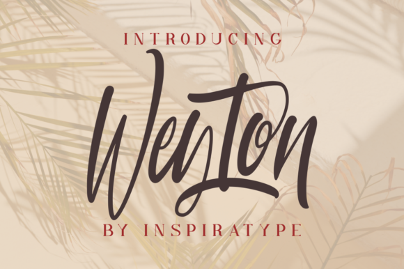 Weyton: The Quirky Script Font for Eye-Catching Marketing